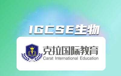 igcse߷ּЩ