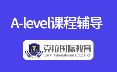 AlevelϷ��γ���ϸ����