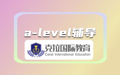 A-levelѧͽѧôѡ