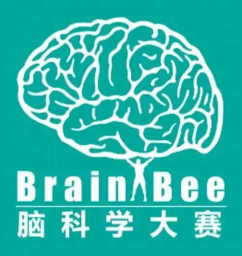 BrainBee|ţУϵ֤ͨԿѧ֪ڿNeuron־Ļƽ